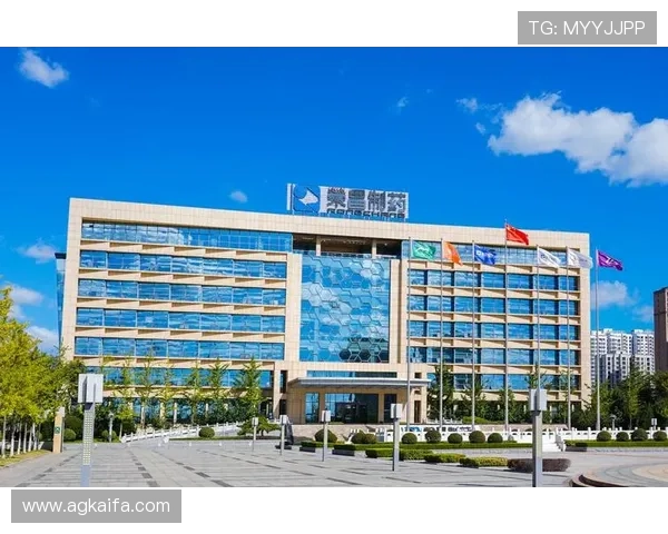 全面解析K8凯发集团会员注册步骤与常见问题解决方案