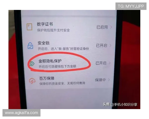 凯发九游娱乐正规官网安全的支付系统，保障每一笔交易的顺利与安全