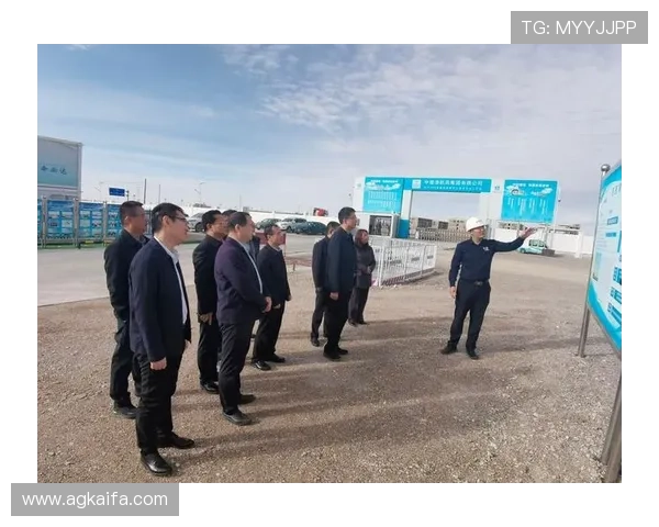 凯发集团网站官网：凯发集团官网的多语言版本及国际用户访问指南